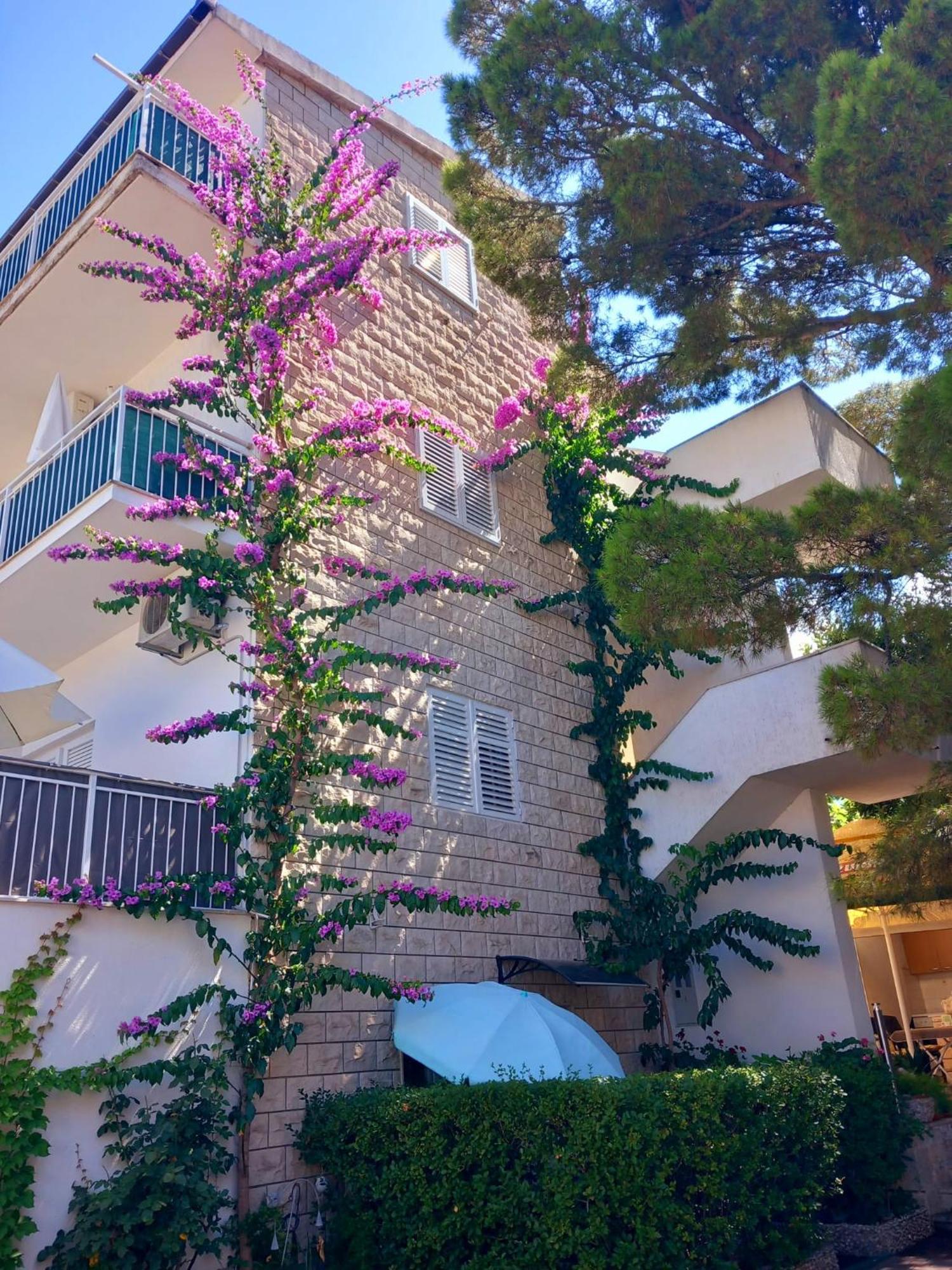 Omrcen Apartment Baska Voda
